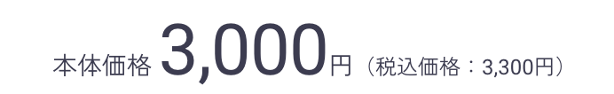 本体価格 3,000円（税込価格：3,300円）